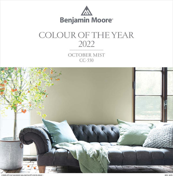 Benjamin Moore Top Box - Colour Trends 2022