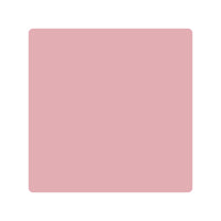 Pink Eraser 2005-50
