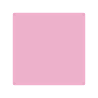 Pink Begonia 2078-50